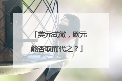 美元式微，欧元能否取而代之？