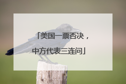 美国一票否决，中方代表三连问