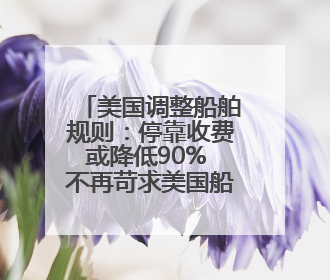 美国调整船舶规则：停靠收费或降低90% 不再苛求美国船只占比