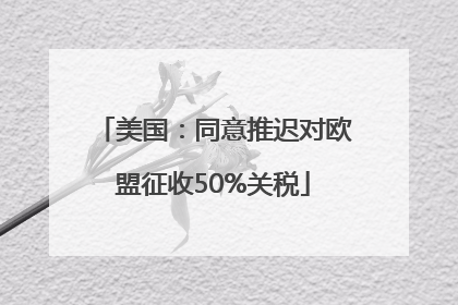 美国：同意推迟对欧盟征收50%关税