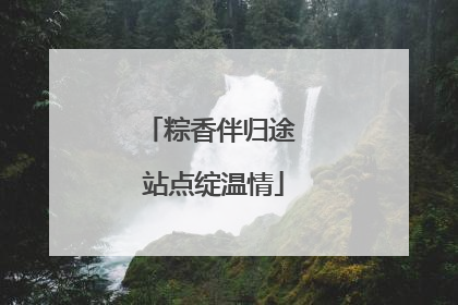 粽香伴归途 站点绽温情