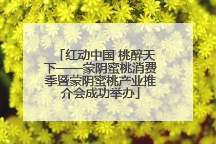 红动中国 桃醉天下——蒙阴蜜桃消费季暨蒙阴蜜桃产业推介会成功举办