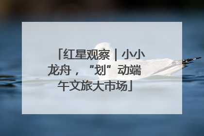 红星观察｜小小龙舟，“划”动端午文旅大市场