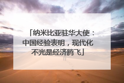 纳米比亚驻华大使：中国经验表明，现代化不光是经济腾飞