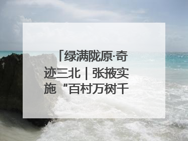 绿满陇原·奇迹三北｜张掖实施“百村万树千里林”工程