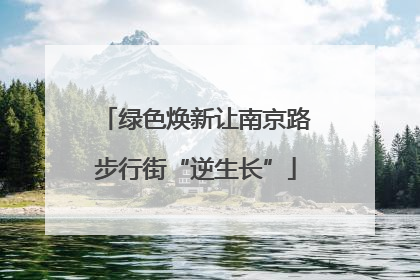 绿色焕新让南京路步行街“逆生长”