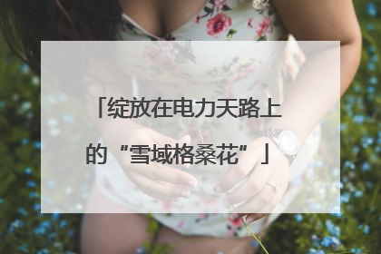 绽放在电力天路上的“雪域格桑花”