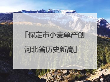 保定市小麦单产创河北省历史新高