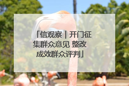 信观察｜开门征集群众意见 整改成效群众评判