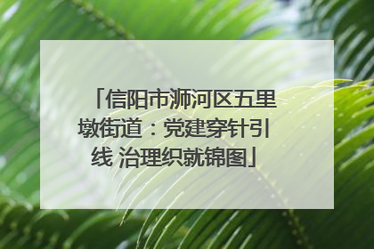信阳市浉河区五里墩街道：党建穿针引线 治理织就锦图