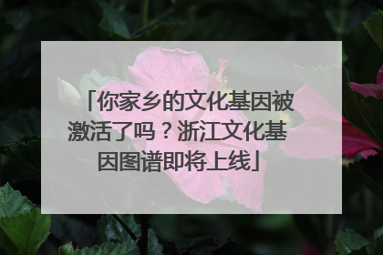 你家乡的文化基因被激活了吗？浙江文化基因图谱即将上线