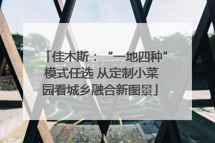 佳木斯：“一地四种” 模式任选 从定制小菜园看城乡融合新图景