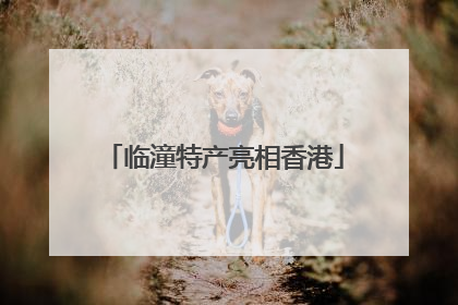 临潼特产亮相香港