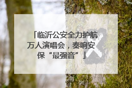 临沂公安全力护航万人演唱会，奏响安保“最强音”