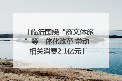 临沂围绕“商文体旅”等一体化改革 带动相关消费2.1亿元