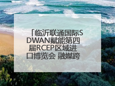 临沂联通国际SDWAN赋能第四届RCEP区域进口博览会 融媒跨境直播畅行无阻