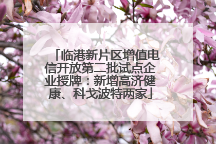 临港新片区增值电信开放第二批试点企业授牌：新增高济健康、科戈波特两家