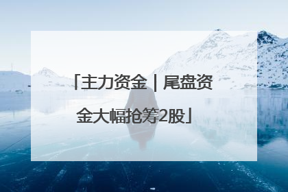 主力资金｜尾盘资金大幅抢筹2股