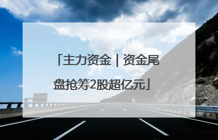 主力资金｜资金尾盘抢筹2股超亿元