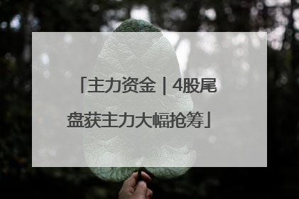 主力资金｜4股尾盘获主力大幅抢筹