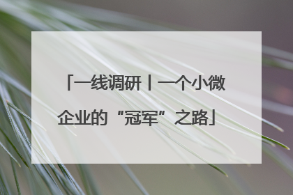 一线调研丨一个小微企业的“冠军”之路