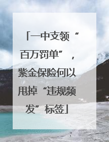 一中支领“百万罚单”，紫金保险何以甩掉“违规频发”标签