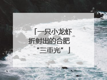 一只小龙虾折射出的合肥“三重光”