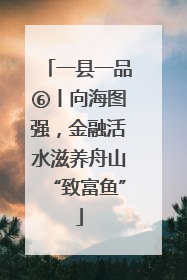 一县一品⑥丨向海图强，金融活水滋养舟山“致富鱼”
