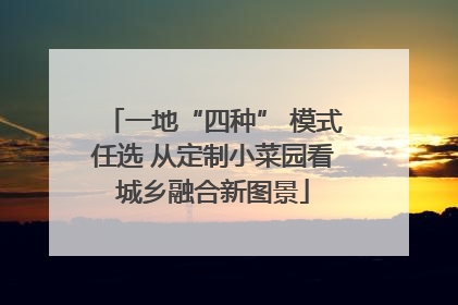 一地“四种” 模式任选 从定制小菜园看城乡融合新图景