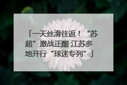 一天丝滑往返！“苏超”激战正酣 江苏多地开行“球迷专列”