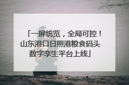 一屏统览，全局可控！山东港口日照港粮食码头数字孪生平台上线