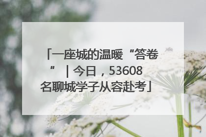 一座城的温暖“答卷”｜今日，53608名聊城学子从容赴考