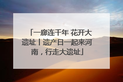 一廊连千年 花开大遗址丨遗产日一起来河南，行走大遗址