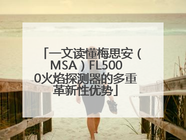 一文读懂梅思安（MSA）FL5000火焰探测器的多重革新性优势