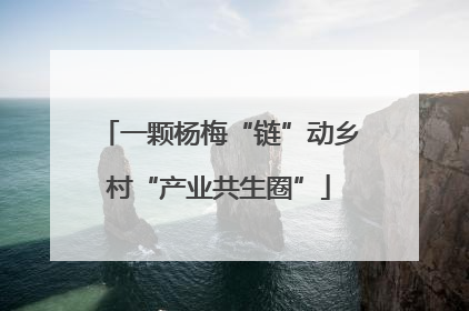 一颗杨梅“链”动乡村“产业共生圈”