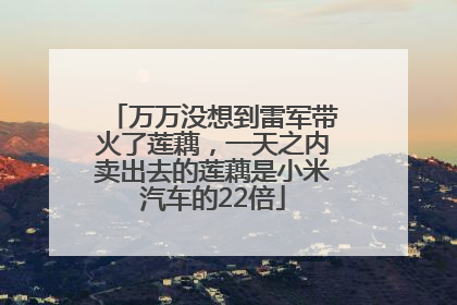 万万没想到雷军带火了莲藕，一天之内卖出去的莲藕是小米汽车的22倍