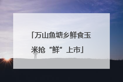 万山鱼塘乡鲜食玉米抢“鲜”上市