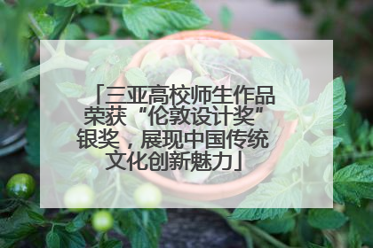 三亚高校师生作品荣获“伦敦设计奖”银奖，展现中国传统文化创新魅力