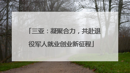三亚：凝聚合力，共赴退役军人就业创业新征程