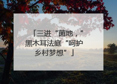三进“菌地，”黑木耳法庭“呵护乡村梦想”