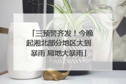 三预警齐发！今晚起湘北部分地区大到暴雨 局地大暴雨