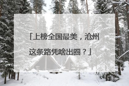 上榜全国最美，沧州这条路凭啥出圈？