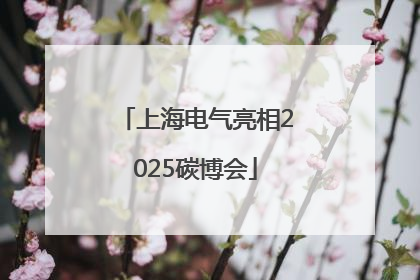 上海电气亮相2025碳博会