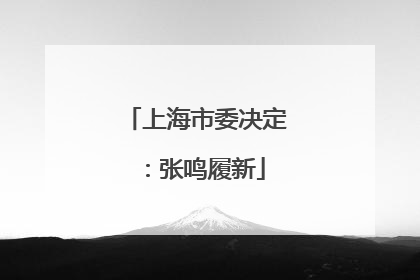 上海市委决定：张鸣履新