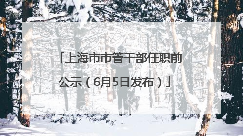 上海市市管干部任职前公示（6月5日发布）