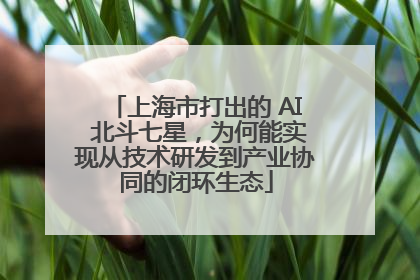 上海市打出的 AI 北斗七星，为何能实现从技术研发到产业协同的闭环生态