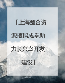 上海整合资源攥指成拳助力长兴岛开发建设