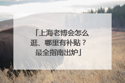 上海老博会怎么逛、哪里有补贴？最全指南出炉