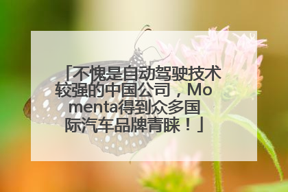 不愧是自动驾驶技术较强的中国公司，Momenta得到众多国际汽车品牌青睐！