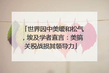 世界因中美缓和松气，埃及学者直言：美搞关税战损其领导力
